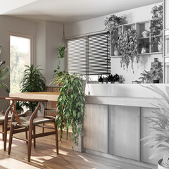 Architect interior designer concept: hand-drawn draft unfinished project that becomes real, wooden kitchen. Love for plants concept, many houseplants. Urban jungle interior design