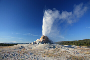 Geyser du Yellowstone