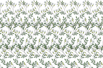 Illustration, Gypsophila flower on white background.