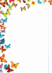 Fototapeta premium Stationery for various occasions, with floral, animal and nature prints.