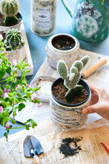 gardening indoor with vase decoupage