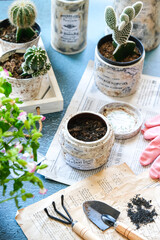 gardening indoor with vase decoupage