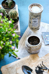 gardening indoor with vase decoupage