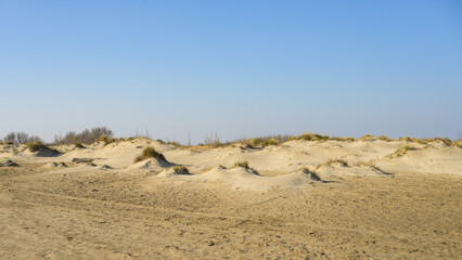 Sandy beach near Salin de Giraud on a sunny day in springtime