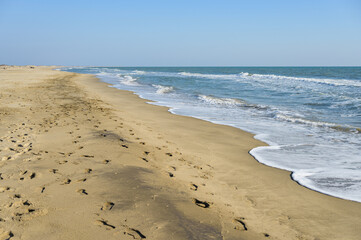 Sandy beach near Salin de Giraud on a sunny day in springtime
