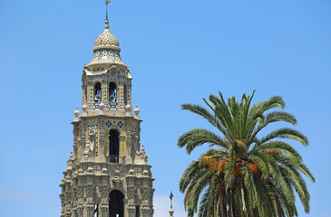 Fototapeta na wymiar California Tower and palm tree - San Diego, California