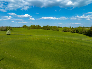Fototapeta na wymiar Aerial view of meadows and agricultural field in spring with blue sky, Poland, Mazury