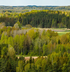 Spring landscape, Latvia, in the countryside of Latgale.