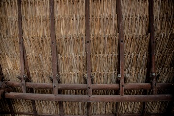 wooden hut