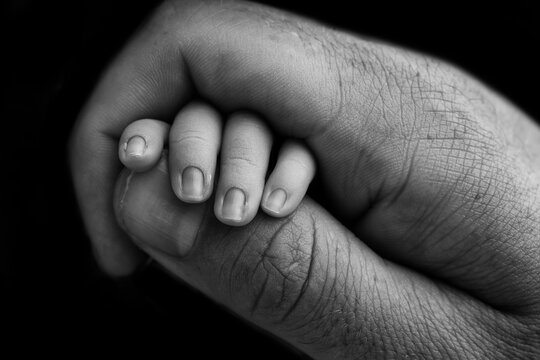 Close-up of a small hand of a child and the hand of mother and father. A newborn baby after birth holds tightly, squeezes the thumb of its parents. Black and white photography on a black background.