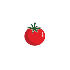 Red tomato vector illustration. Cut tomato, tomato slice, leaves, flowers and tomato seeds. Cartoon vegetable set of elements isolated on white background. Ttomato silhouette line art sign symbol icon