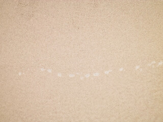 Sea water on sandy beach sand - nature background.