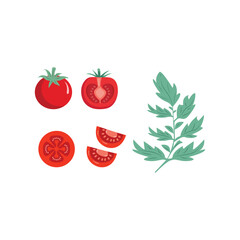 Red tomato vector illustration. Cut tomato, tomato slice, leaves, flowers and tomato seeds. Cartoon vegetable set of elements isolated on white background. Ttomato silhouette line art sign symbol icon