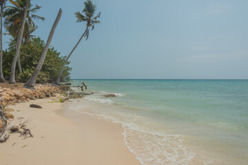 beach with palm trees