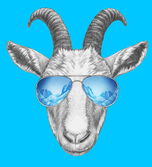 Portrait of Goat with mirrored sunglasses. Hand-drawn illustration.