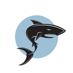 Shark icon. Vector shark illustration on white background. Shark icon