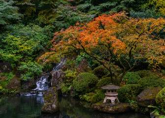 Fototapeta na wymiar Zen Garden