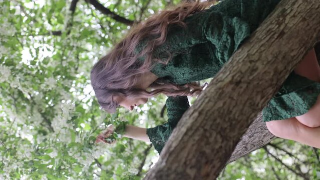 A young woman sits on a branch of a blooming apple tree in the woods and enjoys the apple blossoms