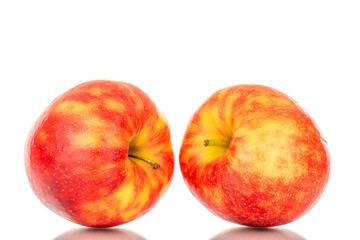 Two ripe red apples, macro, isolated on white background.