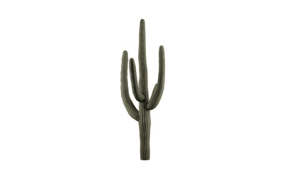 Captivating Saguaro Cactus on a Transparent Background. Cactus on transparent background. 3D render.