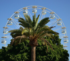 Palm tree in foreground, fair ferris wheel just behind and the blue sky in the background