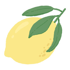Lemon hand drawn