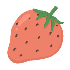 Strawberry hand drawn
