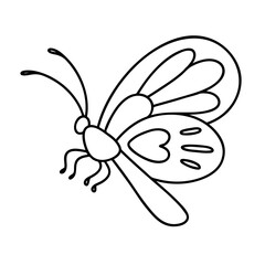 Coloring page - butterfly. Vector outline illustration