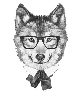 Portrat of Wolf with glasses. Isolated on white background. Hand-drawn illustration.