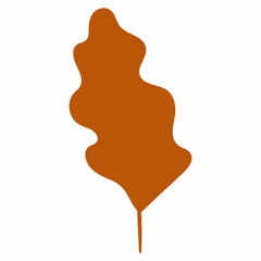 Autumn tree leaf orange color.