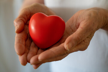 Obraz na płótnie Canvas Grandmother woman hands holding red heart, healthcare, love, organ donation, mindfulness, wellbeing, family insurance and CSR concept, world heart day, world health day, national organ donor day