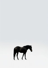 A majestic black horse standing in a mysterious foggy field. Generative ai