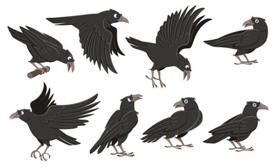 Cartoon crows. Wild black birds, raven character in different poses and flying crow vector illustration set