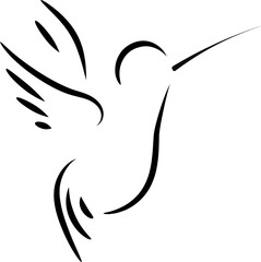 Logo. Colibrí en líneas. Fondo transparente