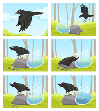Thirsty crow. Tale of smart black crow and jug of water. Clever bird throws stones into jug to drink cartoon vector story illustration