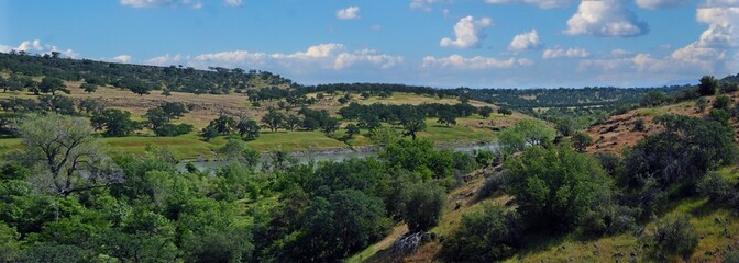 Panorama of Sacramento River Valley Near Payne's Creek, California