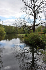 aufgestaute Ilmenau vor der Wassermühle Medingen