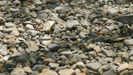 pebbles on the beach