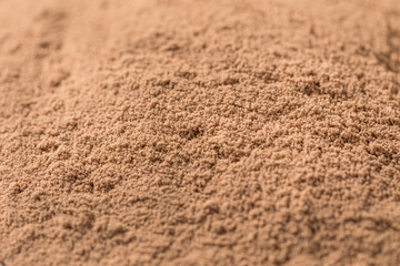 Organic Chocolate Whey Protein Powder