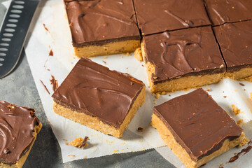 Homemade Chocolate Peanut Butter Bar