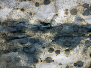 top shot photo of white moldy paper, cool retro overlay.