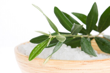 Obraz premium fresh olive branch and bath salt isolated on the white background. spa