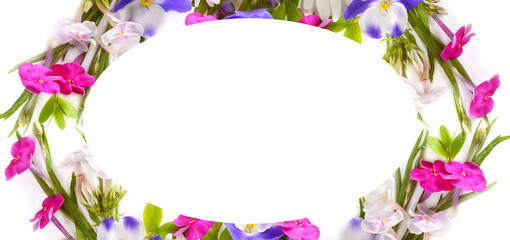 Floral pattern of daisies, phloxes and violets. Wide photo. Beautiful frame with place for text.