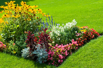 A bright flowerbed and a green lawn.