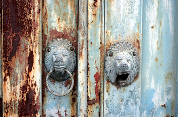 Beautiful old rusty blue gate with lion head knocker