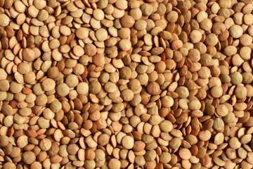 Dry organic green lentils. Food background. Macro.