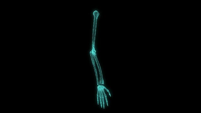 Digital, scan and medical with x ray of arm for 3d data, research or hologram technology. Medicine, healthcare and science of skeleton anatomy on black background for futuristic, orthopedic or bones