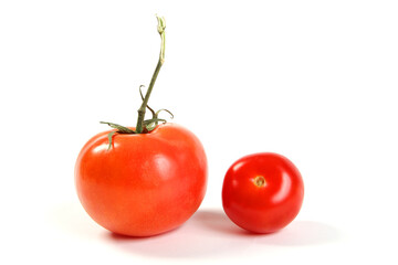 Tomato mom and baby tomato