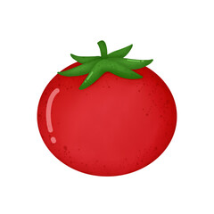 Tomato 
