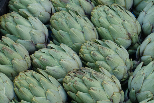 .Artishocks at a farmers market in France.